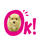 横田のもみじ君（個別スタンプ：7）