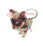 KIDchan（個別スタンプ：2）