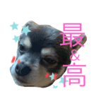 KIDchan（個別スタンプ：5）