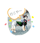 KIDchan（個別スタンプ：6）