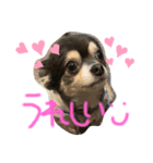 KIDchan（個別スタンプ：7）
