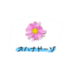 カタカナノクニ 喜怒哀楽（個別スタンプ：14）