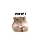 キムチです。1個目（個別スタンプ：1）