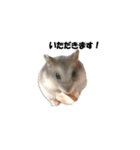 キムチです。1個目（個別スタンプ：7）