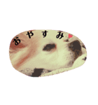 愛犬ペコ＆チョコ♡（個別スタンプ：3）