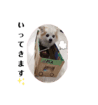 愛犬ペコ＆チョコ♡（個別スタンプ：4）