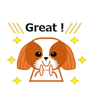 毎日のシーズースタンプ（個別スタンプ：12）