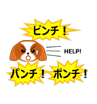 毎日のシーズースタンプ（個別スタンプ：15）