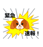 毎日のシーズースタンプ（個別スタンプ：16）