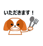毎日のシーズースタンプ（個別スタンプ：30）