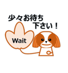 毎日のシーズースタンプ（個別スタンプ：32）