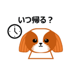 毎日のシーズースタンプ（個別スタンプ：33）