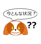 毎日のシーズースタンプ（個別スタンプ：34）
