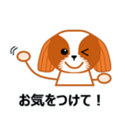 毎日のシーズースタンプ（個別スタンプ：37）