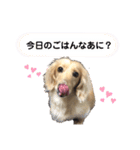ぷりんスタンプ♡（個別スタンプ：1）