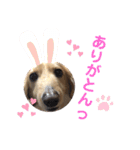ぷりんスタンプ♡（個別スタンプ：12）