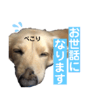 ぷりんスタンプ♡（個別スタンプ：16）