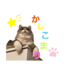 わたちびび様（個別スタンプ：4）
