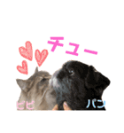 わたちびび様（個別スタンプ：16）