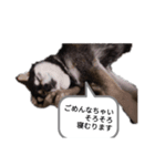 オンライン飲みお断り（個別スタンプ：1）