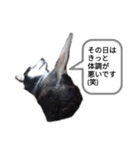 オンライン飲みお断り（個別スタンプ：2）