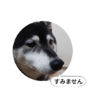 オンライン飲みお断り（個別スタンプ：5）