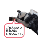 オンライン飲みお断り（個別スタンプ：6）