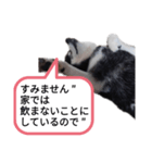 オンライン飲みお断り（個別スタンプ：7）