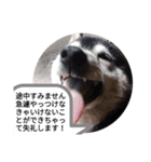 オンライン飲みお断り（個別スタンプ：8）
