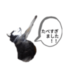 昨日はごちそうさまでした（個別スタンプ：3）
