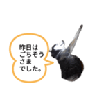 昨日はごちそうさまでした（個別スタンプ：4）