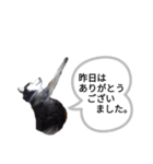 昨日はごちそうさまでした（個別スタンプ：8）
