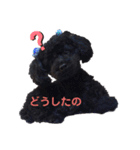 うちのオレオ（個別スタンプ：9）