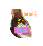 ほりぞく（個別スタンプ：6）