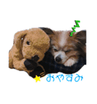 ベッキーライフスタイル（個別スタンプ：2）