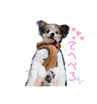 ベッキーライフスタイル（個別スタンプ：3）