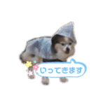 ベッキーライフスタイル（個別スタンプ：12）