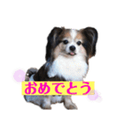 ベッキーライフスタイル（個別スタンプ：14）