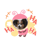 ベッキーライフスタイル（個別スタンプ：15）