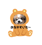 ベッキーライフスタイル（個別スタンプ：16）
