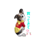 ベッキーライフスタイル（個別スタンプ：23）