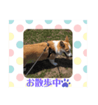 もなかと一緒に家族の連絡（個別スタンプ：2）