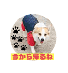 もなかと一緒に家族の連絡（個別スタンプ：18）