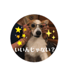 もなかと一緒に家族の連絡（個別スタンプ：22）