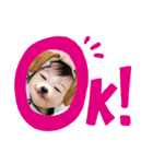 おかかとカルビ（個別スタンプ：4）