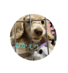 みるごん（個別スタンプ：11）