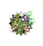 元気なplant（個別スタンプ：1）