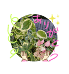 元気なplant（個別スタンプ：4）