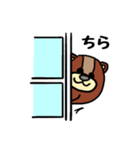 くま・どん（個別スタンプ：11）