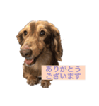 LOCOくん（個別スタンプ：7）